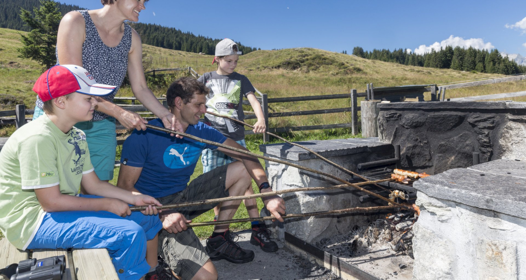 Die Feuerstelle mit Feuerholz beim Sassli. Mit WC Die Feuerstelle mit Feuerholz beim Sassli. Mit WC