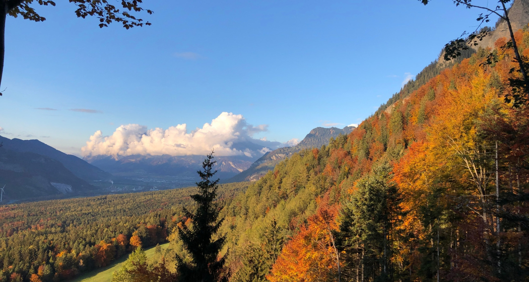 Richtung Fürstenwald Richtung Fürstenwald