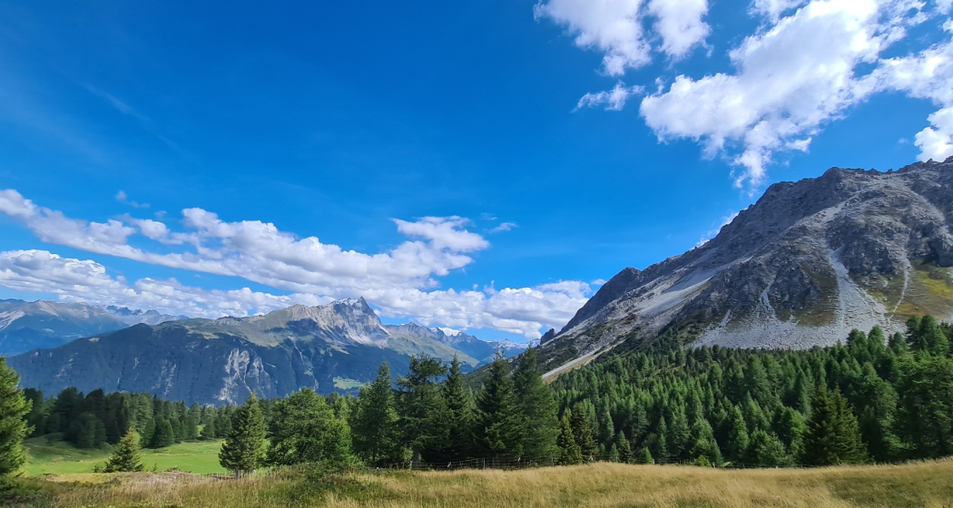 Munter - Ziteil - Tigignas (oua_93998751_image) Munter - Ziteil - Tigignas (oua_93998751_image)