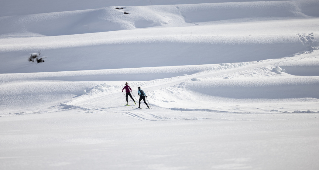 Zernez: Rennloipe (oua_94465906_image) Zernez: Rennloipe (oua_94465906_image)