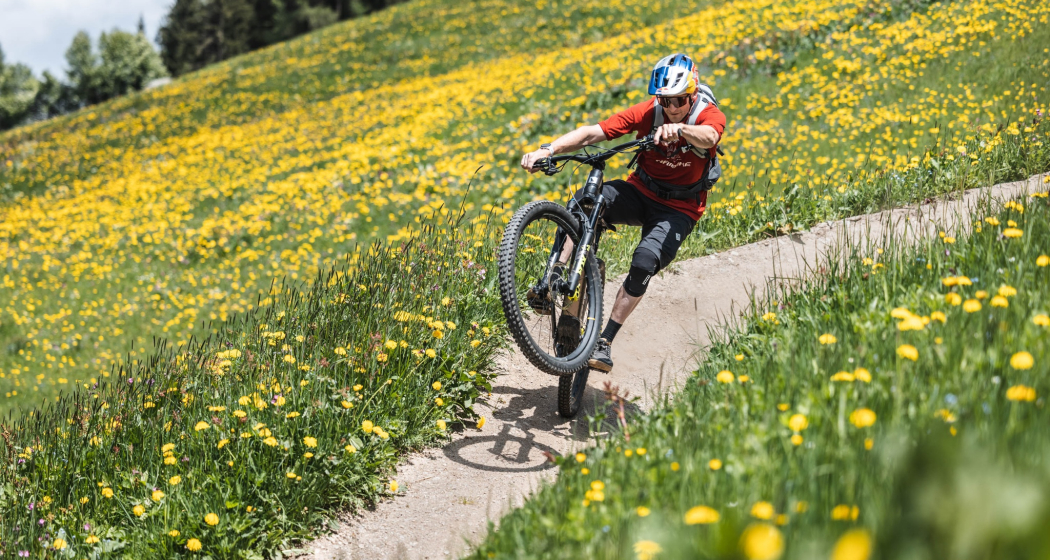 334 Clavadeler Alp (E-MTB tauglich) (oua_94586686_image) 334 Clavadeler Alp (E-MTB tauglich) (oua_94586686_image)