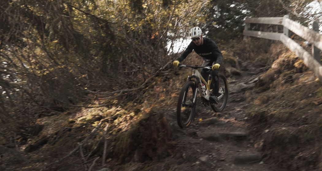 Spundisköpfe (oua_94756986_image) Spundisköpfe (oua_94756986_image)