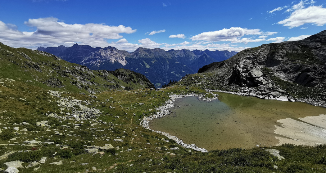 Selva - Cancian Selva - Cancian