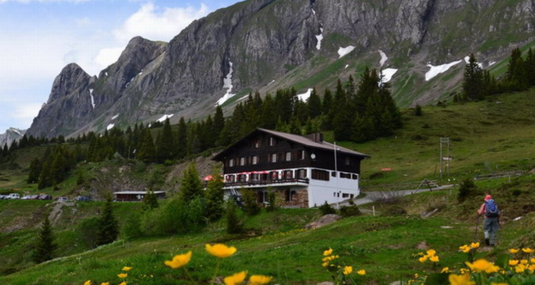 Berggasthaus Palfries (oua_95332633_image) Berggasthaus Palfries (oua_95332633_image)