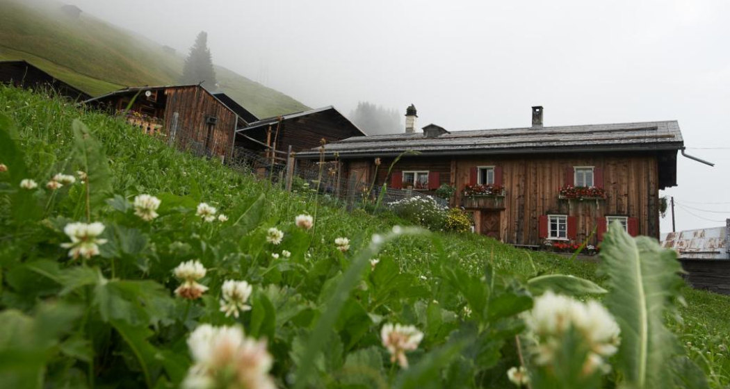 001.06 Alpine Bike Etappe 6 Tiefencastel - Safien Platz 001.06 Alpine Bike Etappe 6 Tiefencastel - Safien Platz