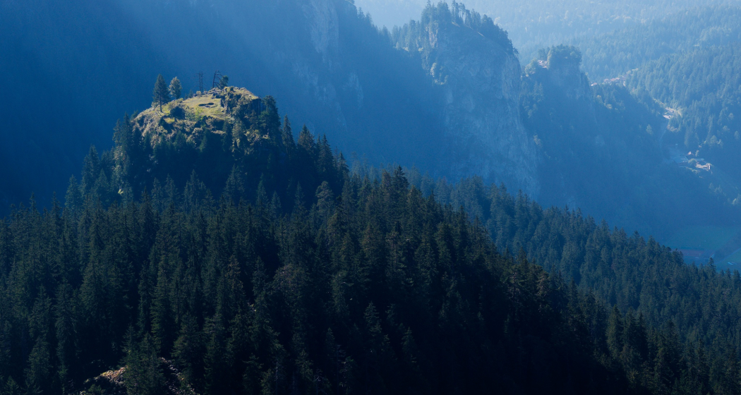 Walser, Ritter und Kühe: Eine Rundwanderung über die Ruine Belmont nach Bargis. (oua_95598246_image) Walser, Ritter und Kühe: Eine Rundwanderung über die Ruine Belmont nach Bargis. (oua_95598246_image)