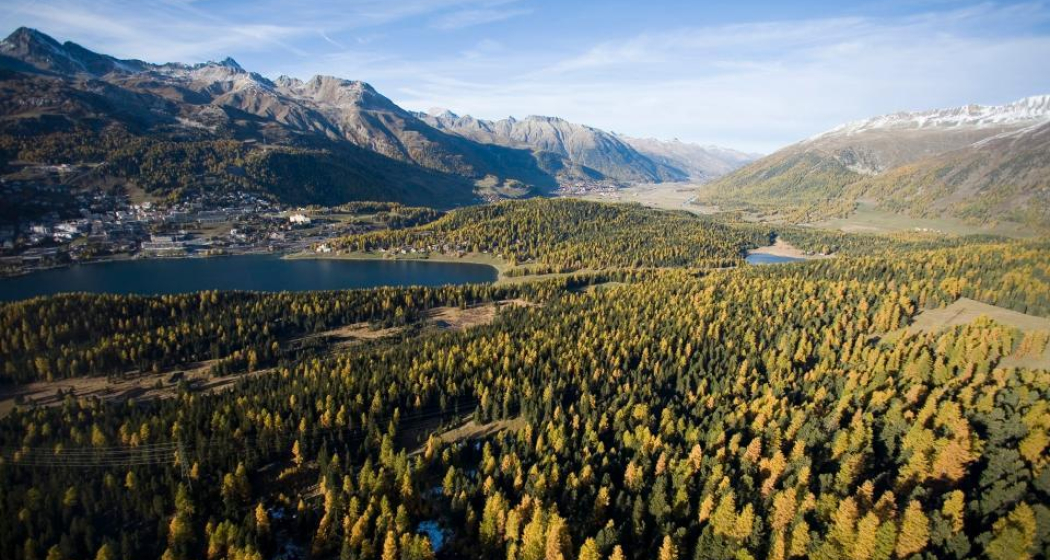 25.03 Maloja - St. Moritz, Senda Segantini 25.03 Maloja - St. Moritz, Senda Segantini