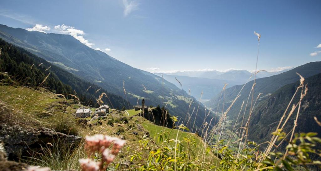 30.07 S. Romerio - Tirano (I), ViaValtellina (oua_9675315_image) 30.07 S. Romerio - Tirano (I), ViaValtellina (oua_9675315_image)