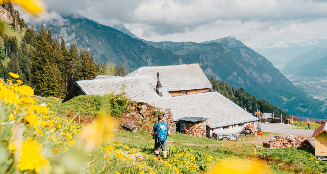 Alp Tschingla Alp Tschingla