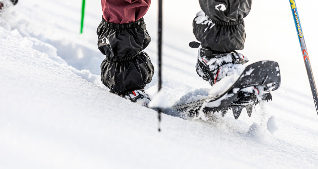 Tarasp – Avrona – Vulpera (oua_97299992_image)