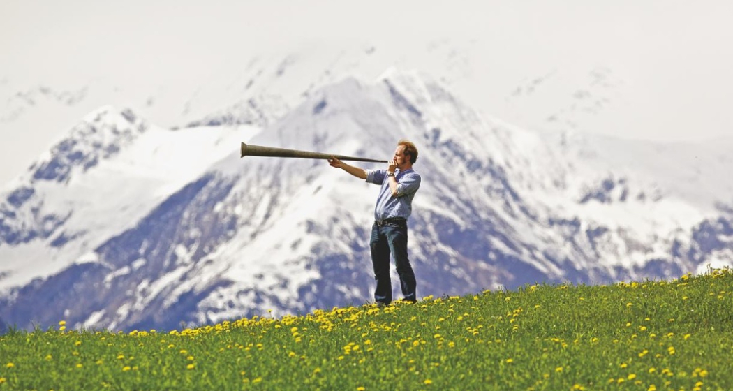 Bergwiese bei Ilanz Bergwiese bei Ilanz