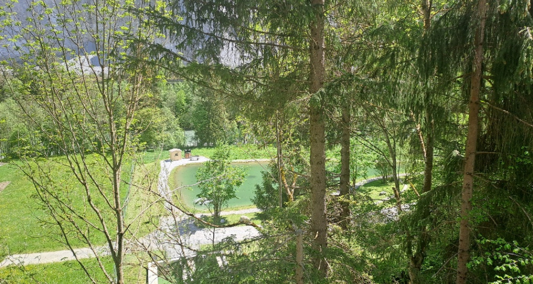 Fischteich Fischteich