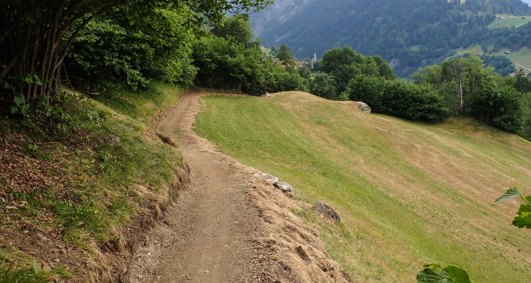 222 Nino Schurter Bike, 2023 neu gebaut