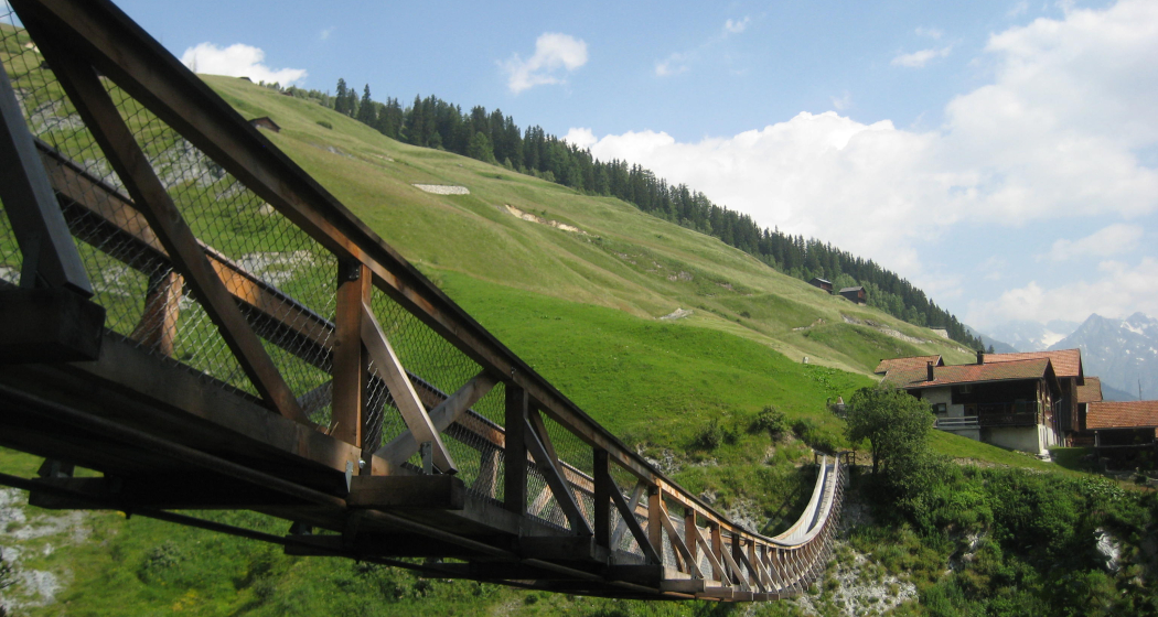 Hängebrücke aus Lärchenholz (oua_9873856_image) Hängebrücke aus Lärchenholz (oua_9873856_image)