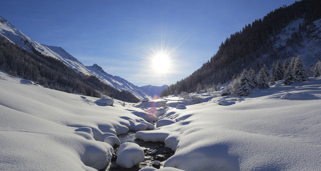 Davos (st_mail_background_4f94889) Davos (st_mail_background_4f94889)
