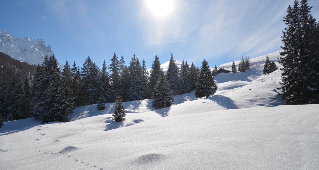 Savognin (st_station_picture_3_2c771e2)