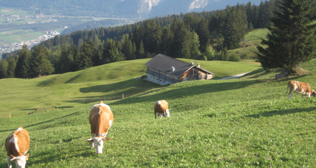 Aussicht Aussicht