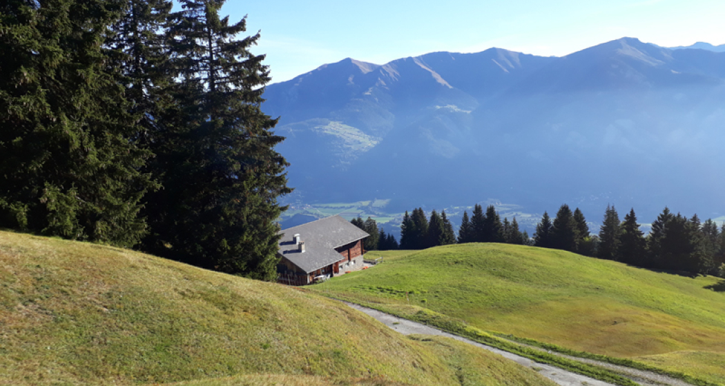 Maiensäss mit Aussicht Maiensäss mit Aussicht