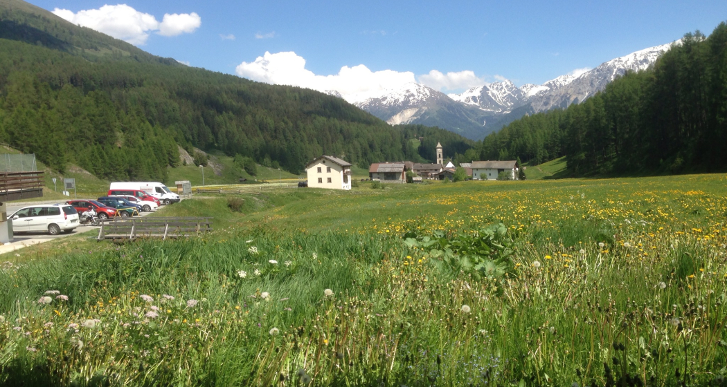 Ferienwohnung Clüs (tom_tds00020012477307504_image)