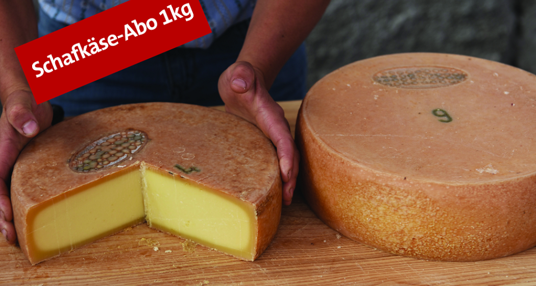 Schafkäse-Abo 1kg - ein Stück Prättigau nach Hause Schafkäse-Abo 1kg - ein Stück Prättigau nach Hause