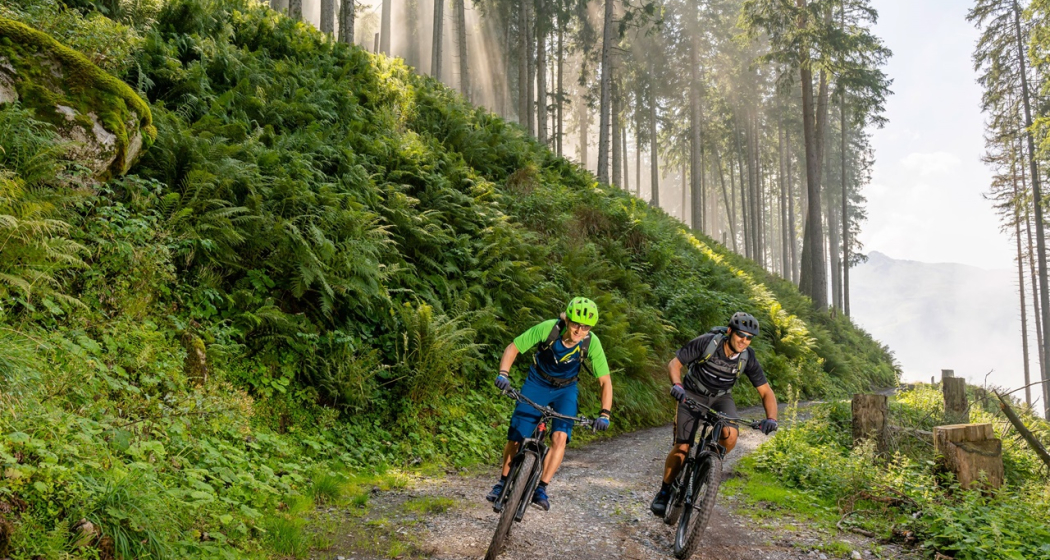 Biken Wald Biken Wald