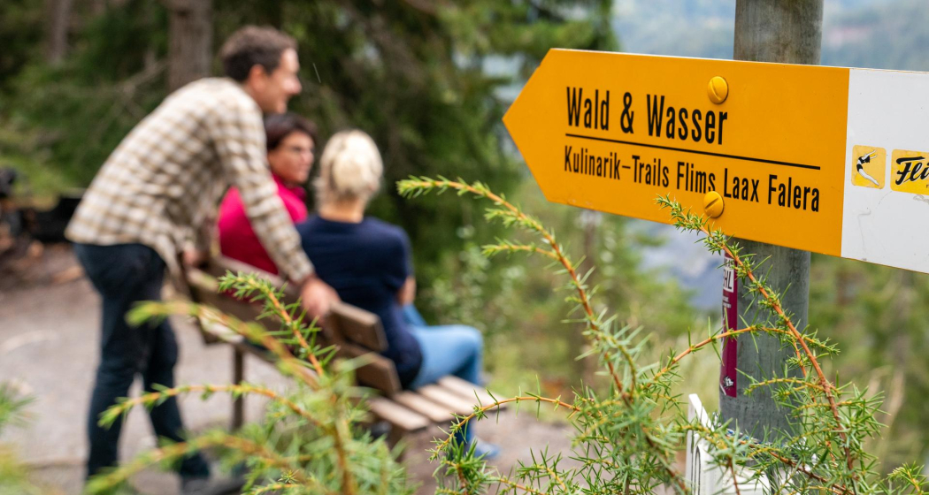 Wald und Wasser Wald und Wasser
