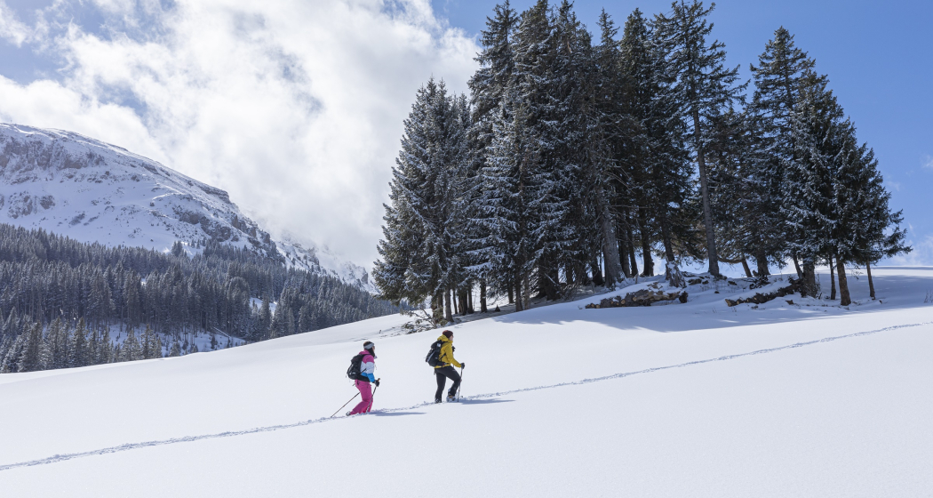 Schneeschuhwanderung Schönhalden Schneeschuhwanderung Schönhalden