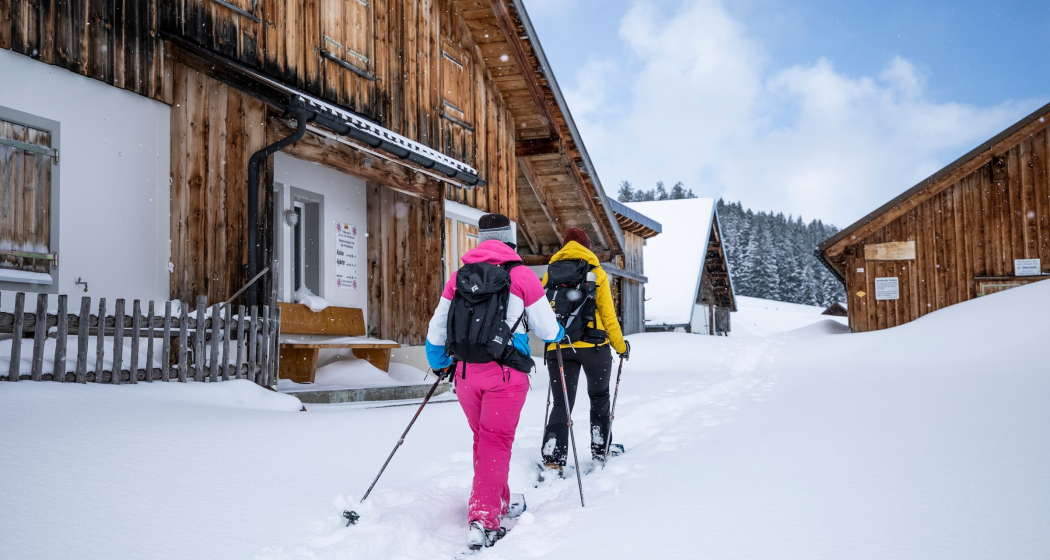 Schneeschuhwanderung Schönhalden Schneeschuhwanderung Schönhalden