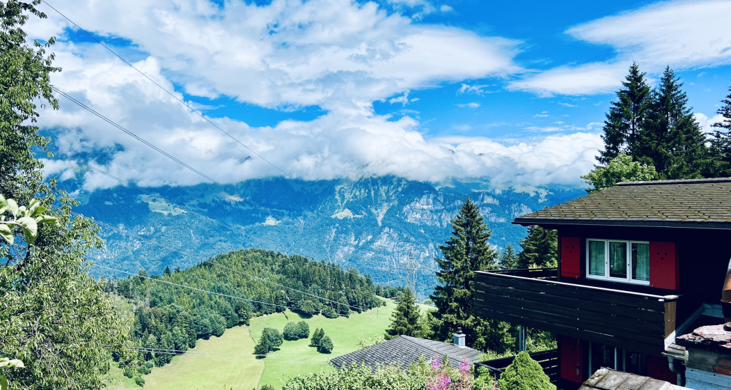 Ausblick Ausblick