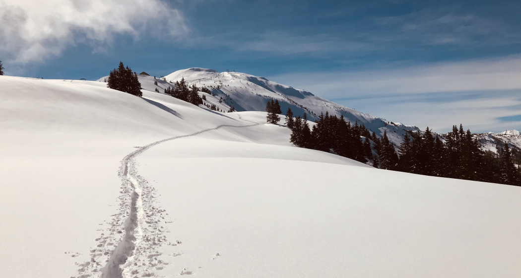 Schneeschuh Trail Schneeschuh Trail
