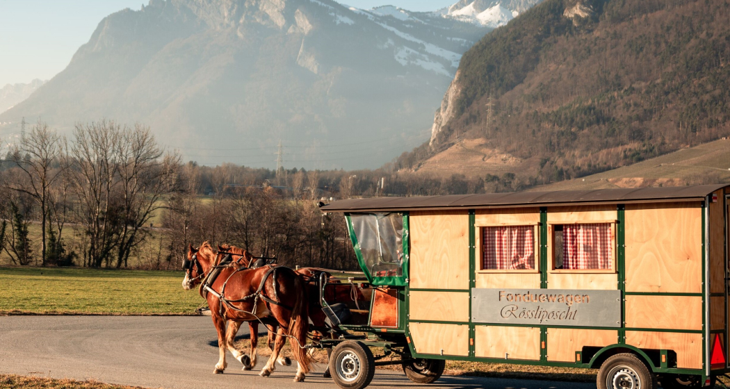 Fondue- Kutschenfahrt Fondue- Kutschenfahrt