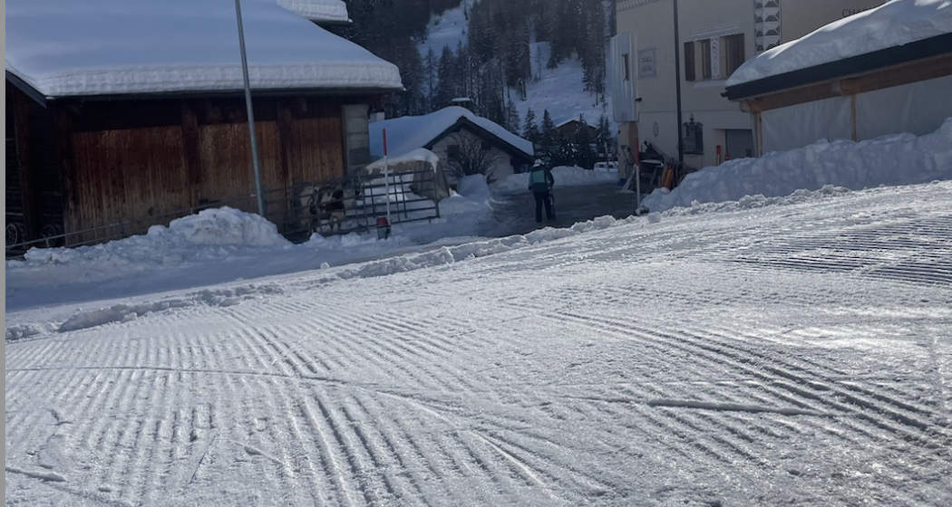 Zufahrt mit Ski Zufahrt mit Ski