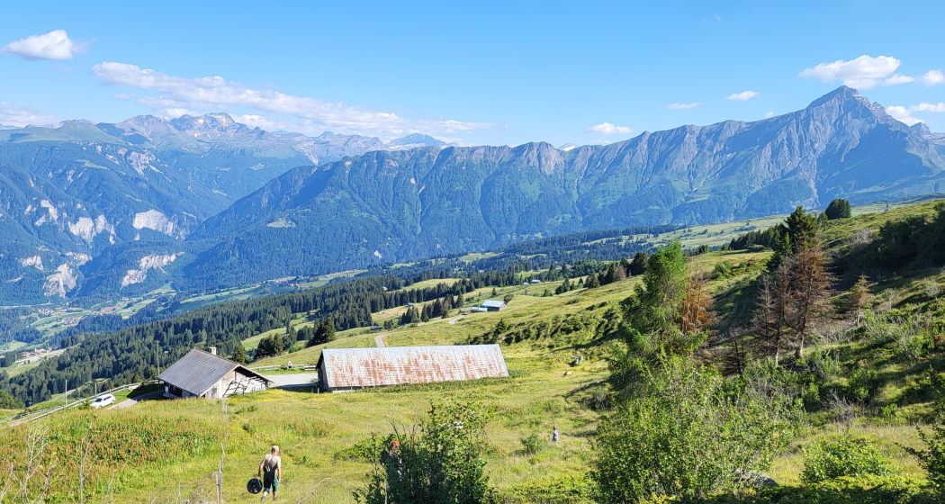 Einblick in den Allpalltag Einblick in den Allpalltag