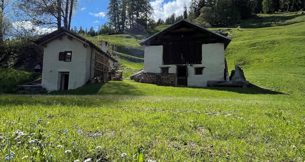 Maiensäss Stgeavs Maiensäss Stgeavs