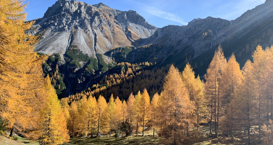 Val Mora im Herbst