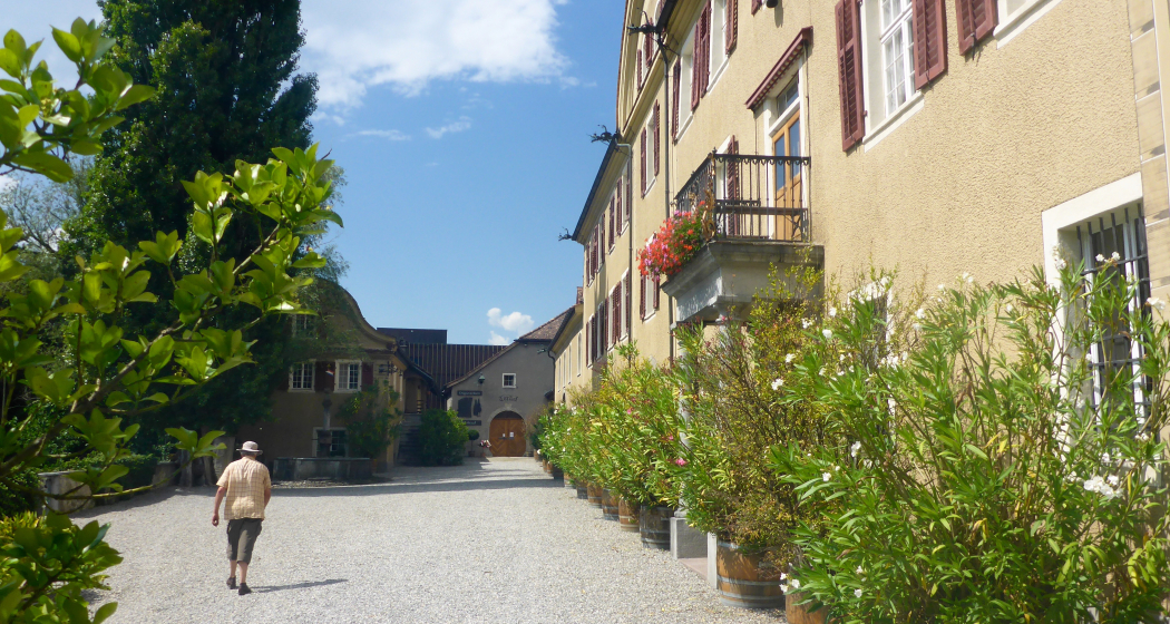Schloss Salenegg (ctd_420b413b-25ca-4387-8748-bd79803fff3a_image) Schloss Salenegg (ctd_420b413b-25ca-4387-8748-bd79803fff3a_image)