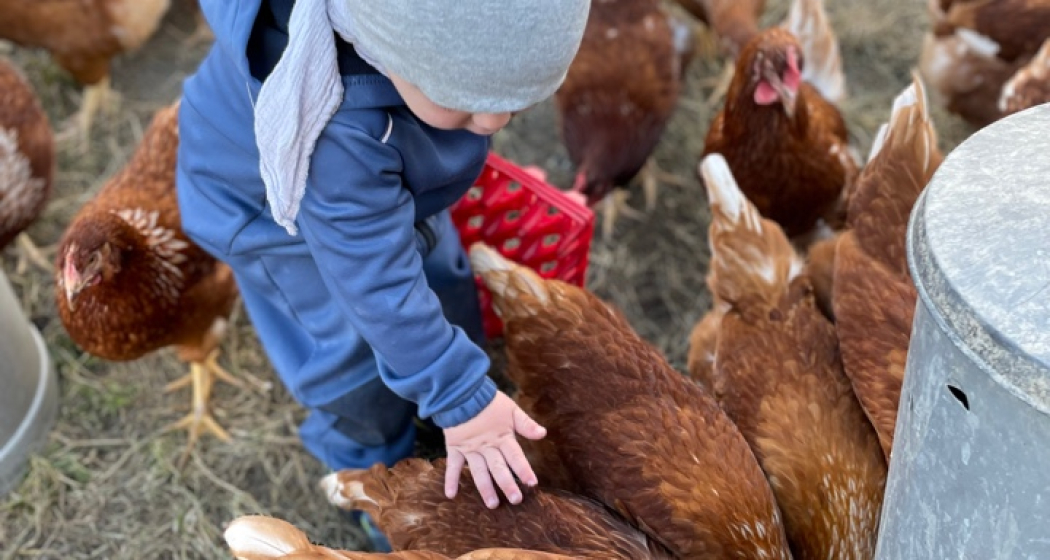 Hof Eggenberger (ctd_63f490ec-c7d6-4942-9669-c43fe5a43e59_img01)