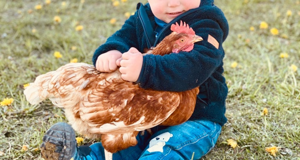 Hof Eggenberger (ctd_63f490ec-c7d6-4942-9669-c43fe5a43e59_img02)