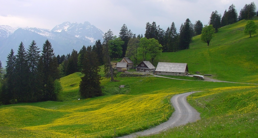 Alp Schrina (ctd_6835f787-fbf1-4f10-aec2-bce5ee9f53f4_image) Alp Schrina (ctd_6835f787-fbf1-4f10-aec2-bce5ee9f53f4_image)