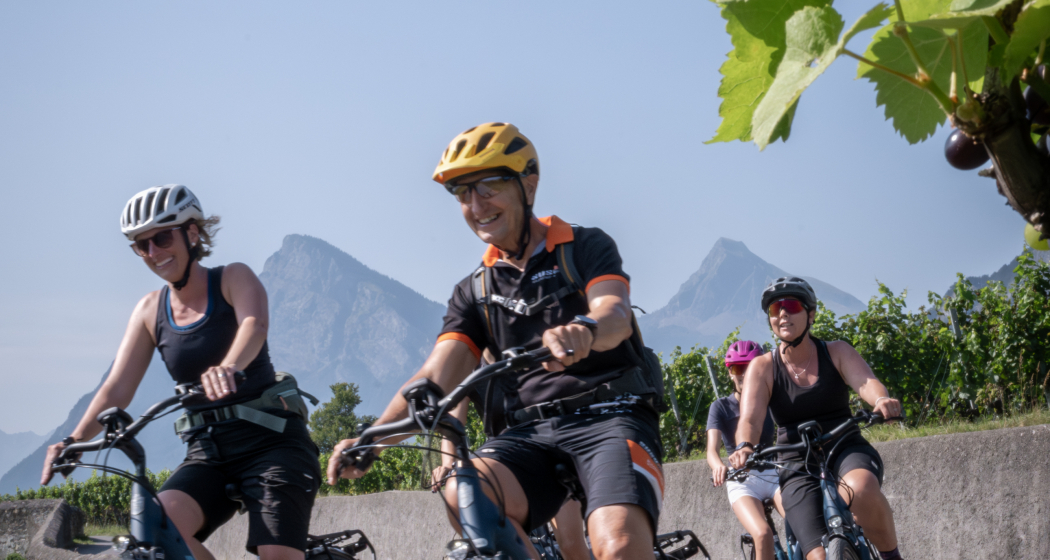 image_09_scope (ctd_6e3d9576-d52e-480b-bf31-84628f5c907c_img01)