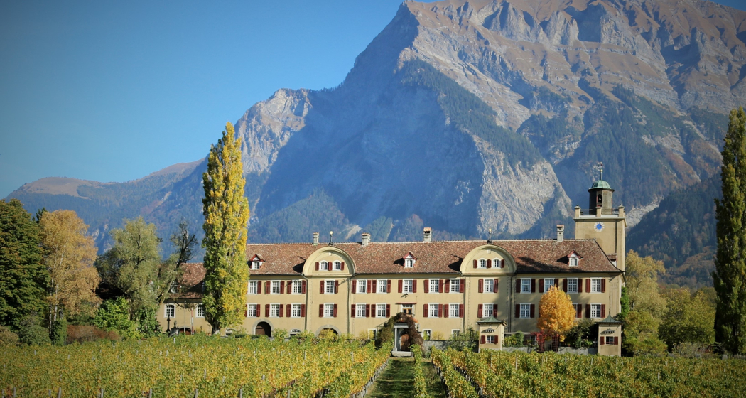 Weingut Schloss Salenegg (ctd_753c734e-963f-4b8b-ae3a-21fd0ae8bbc7_image) Weingut Schloss Salenegg (ctd_753c734e-963f-4b8b-ae3a-21fd0ae8bbc7_image)