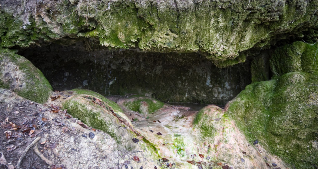 Tüfels Chuchi (ctd_a702d213-a688-440c-a877-7fe6643e3b01_image) Tüfels Chuchi (ctd_a702d213-a688-440c-a877-7fe6643e3b01_image)