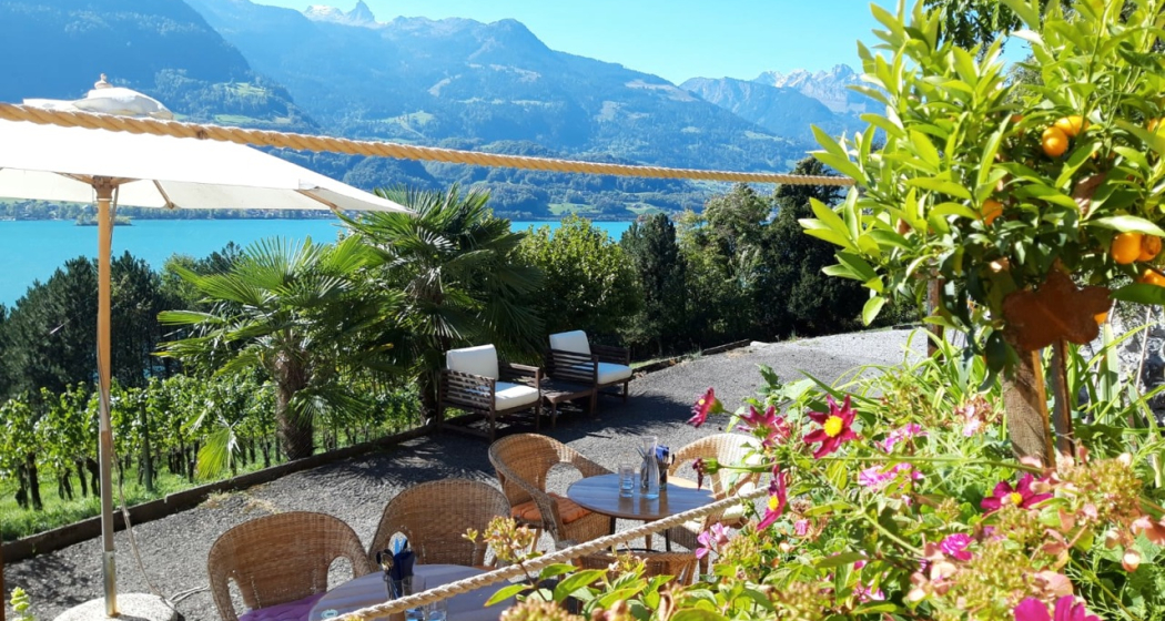 Grotto "KALIFORNI" CasaNova Wein Pur (ctd_bb4f3414-3cc1-4dc0-84a5-06e30128de7d_image) Grotto "KALIFORNI" CasaNova Wein Pur (ctd_bb4f3414-3cc1-4dc0-84a5-06e30128de7d_image)