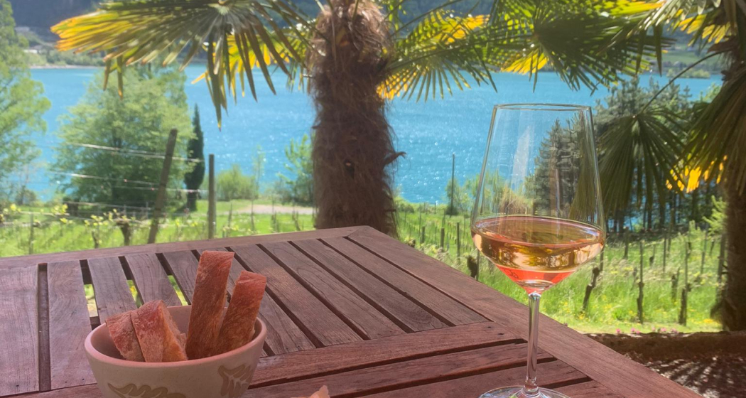 Grotto "KALIFORNI" CasaNova Wein Pur (ctd_bb4f3414-3cc1-4dc0-84a5-06e30128de7d_img03) Grotto "KALIFORNI" CasaNova Wein Pur (ctd_bb4f3414-3cc1-4dc0-84a5-06e30128de7d_img03)