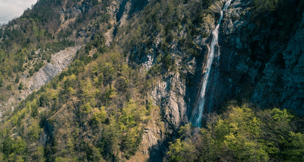 Ragnatscher Fall (ctd_c96ee797-35c9-4458-8f9b-87f2b4d4027e_img01) Ragnatscher Fall (ctd_c96ee797-35c9-4458-8f9b-87f2b4d4027e_img01)