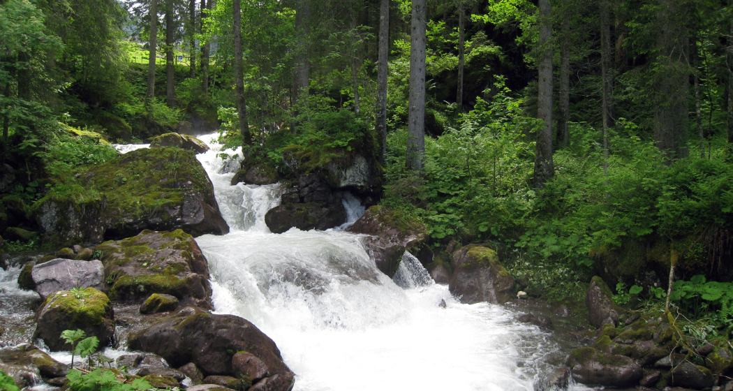 Gsponbachfall (ctd_d2dabc41-c1ac-471d-bb75-400b4db0c302_image)