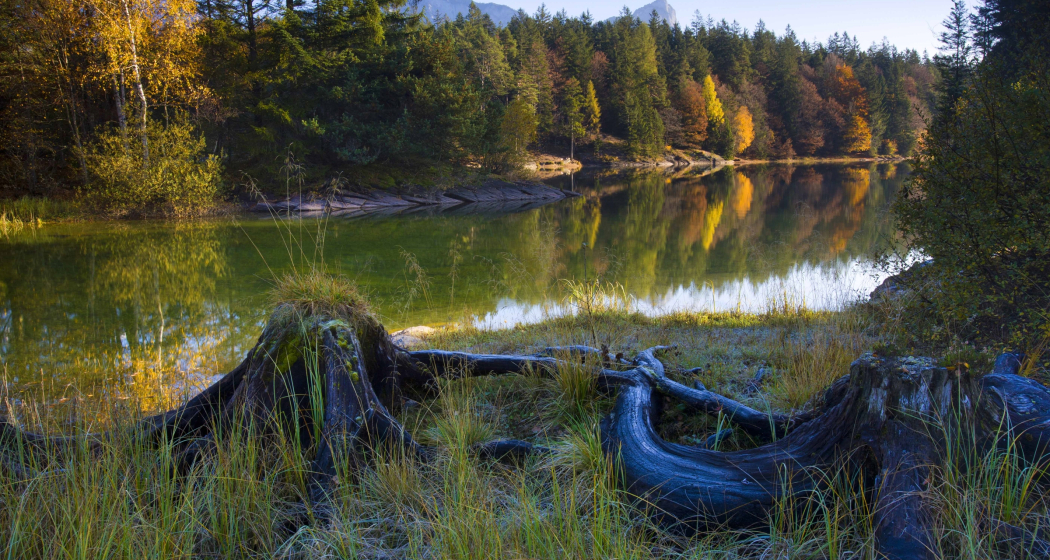 Chapfensee (ctd_eaca5cf0-709b-4d05-98d8-f64d38a93d32_image) Chapfensee (ctd_eaca5cf0-709b-4d05-98d8-f64d38a93d32_image)