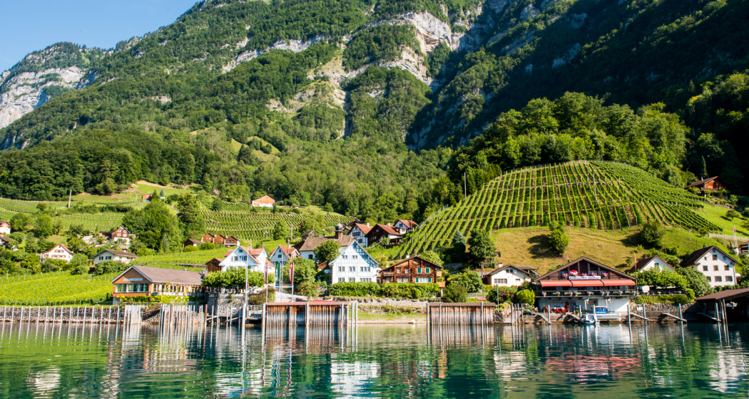 Quinten (ctd_f711b5e4-c2d2-4211-9480-bbf24e6bea30_image)