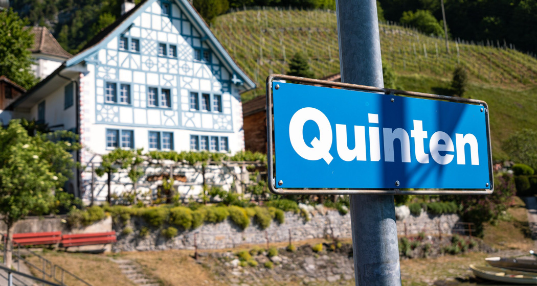 Quinten (ctd_f711b5e4-c2d2-4211-9480-bbf24e6bea30_img01) Quinten (ctd_f711b5e4-c2d2-4211-9480-bbf24e6bea30_img01)