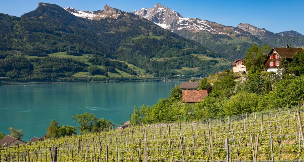 Quinten (ctd_f711b5e4-c2d2-4211-9480-bbf24e6bea30_img02)